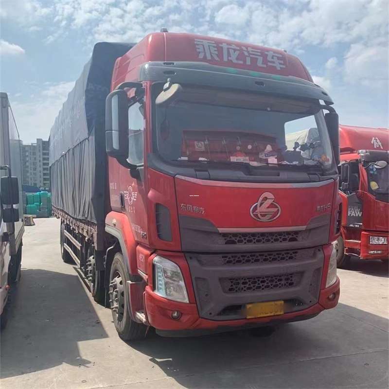 雨城区资阳市物流运输：专线直达与多元服务探索